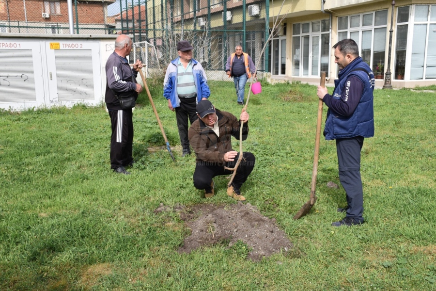 За  „Седмицата на гората” в Община Поморие засадиха  108 нови дръвчета