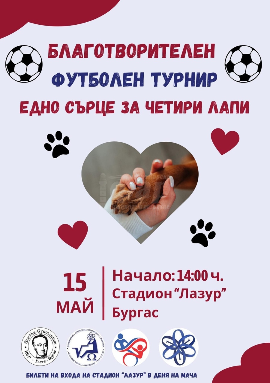 Ученически футболен турнир помага на бездомничетата в общинския приют