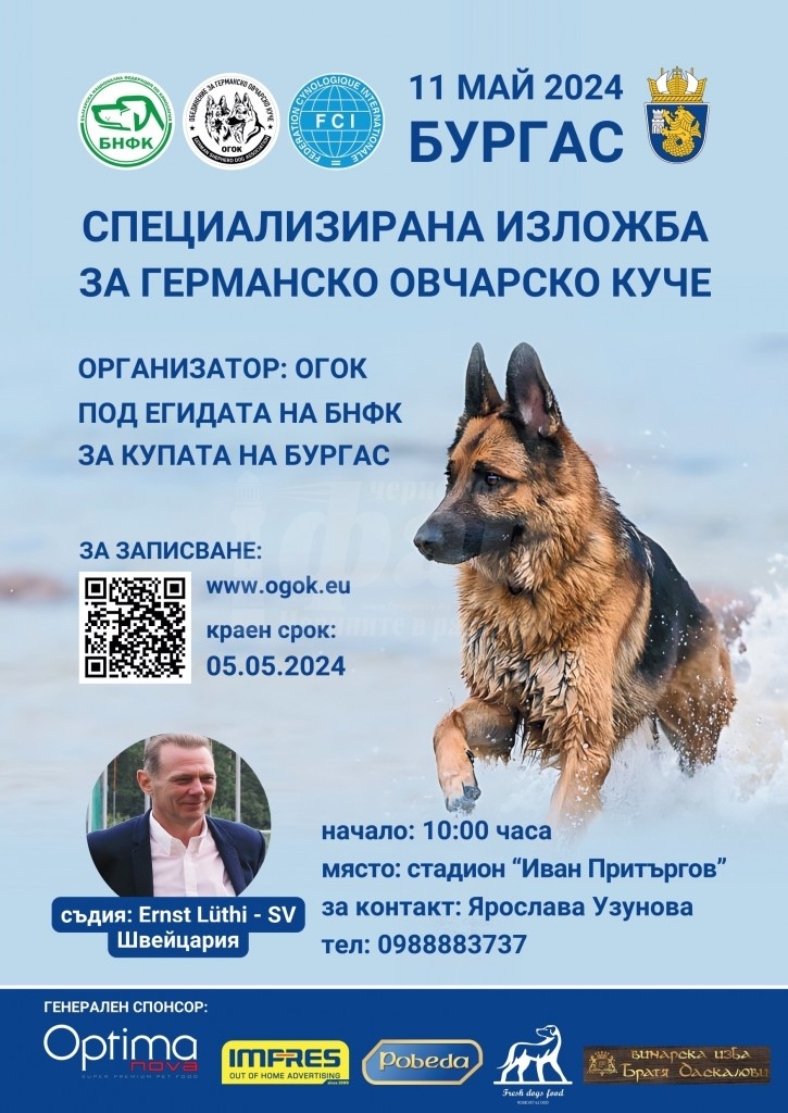 Най-красивите немски овчарки се събират в Бургас