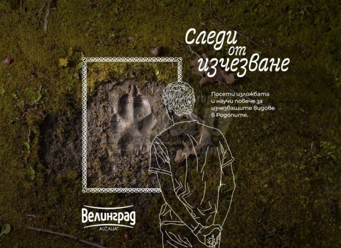 Вълнуващата изложба „Следи от изчезване“ може да бъде видяна в Бургас