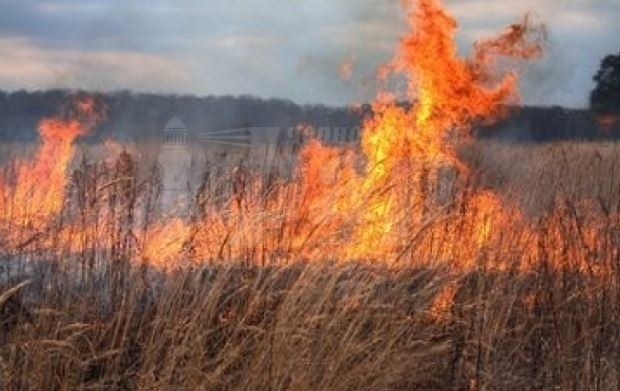 Изгоряха близо 75 декара пшеница