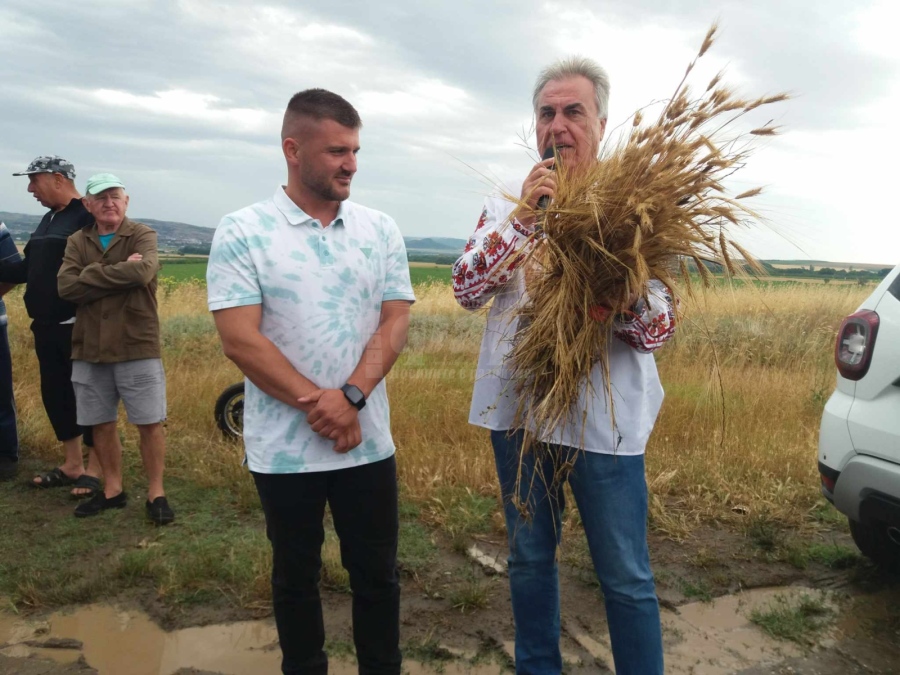 Родно зърно изнасяме за Индия, Тайван, дори Китай