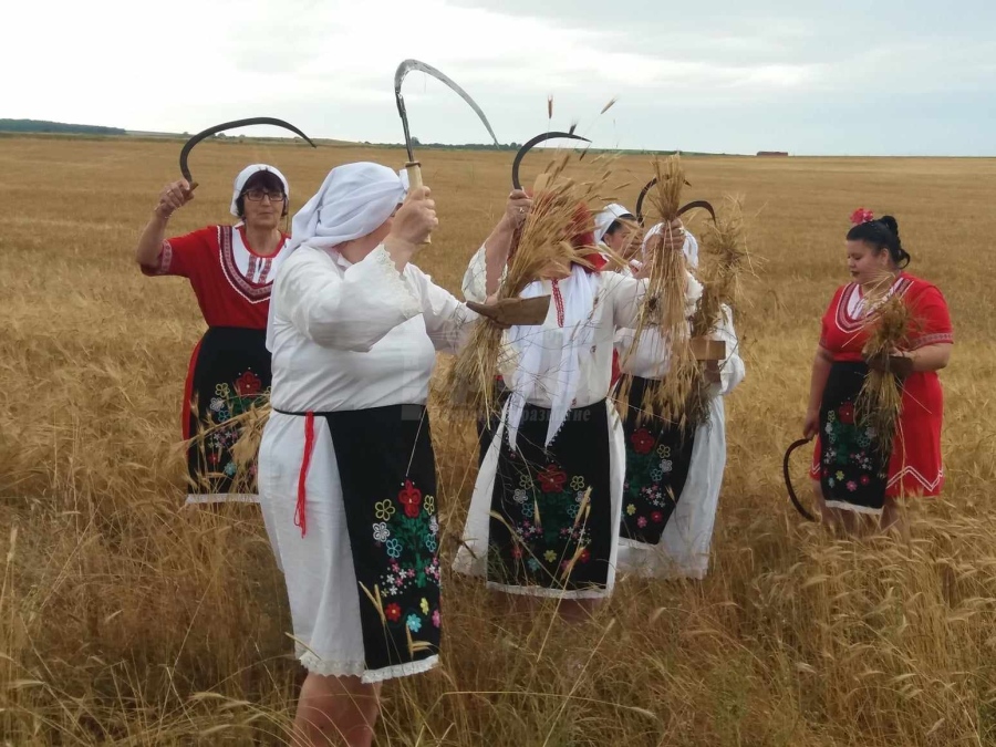 Гръбнакът на земеделието се разпада