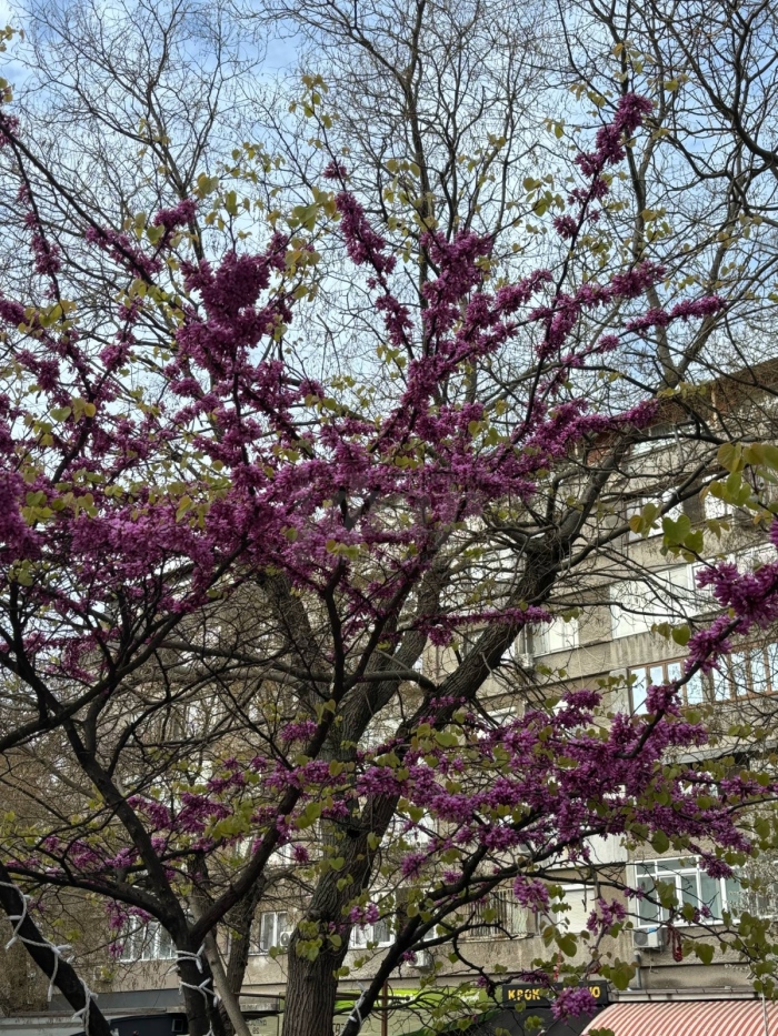 Слънчево и топло време на Великден