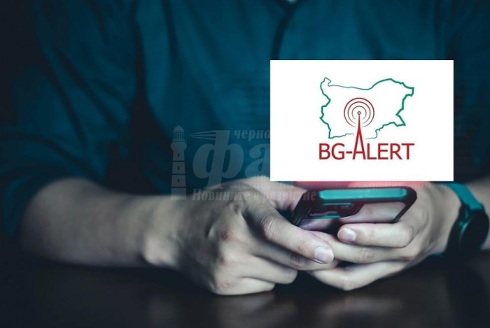 BG-Alert се активира заради появил се рядък вид животно от семейство Котки в Шумен