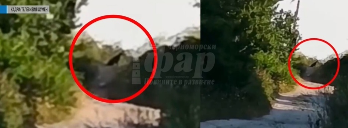 Пълна забрана за достъп до \