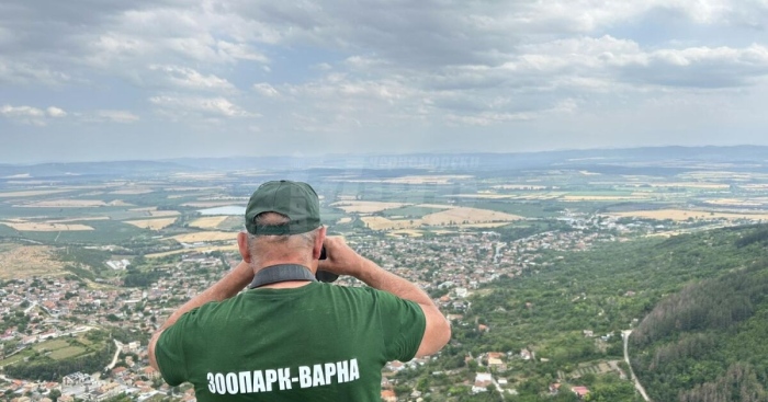 Продължава издирването на хищника в Шумен
