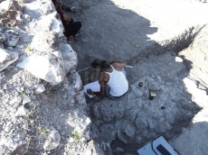 Проучват западната крепостна стена на Русокастро