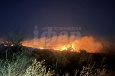  Пожари  горят на две места в Бургаски регион