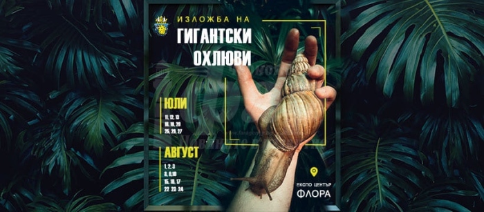 Гигантски африкански охлюви пристигат в Бургас