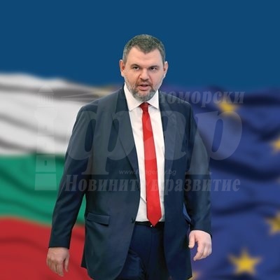 Пеевски: НАП, Агенция \