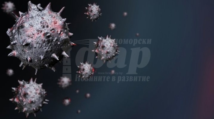 Експерт: Хантавирусът не е заплаха от мащаба на COVID-19