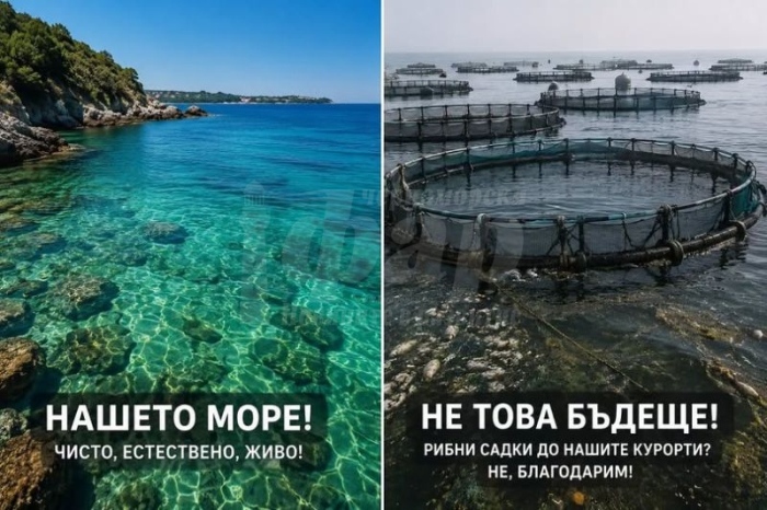 Пред премиера и министрите: Кметът на Приморско настоя за дебат за рибните ферми по Черноморието