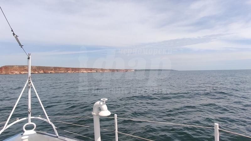 200 сигнала за мазут по плажовете, ето какво показаха проверките