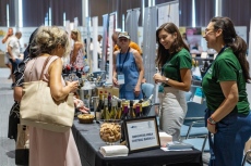 Над 500 вина ще бъдат представени на Wine & Spirits Fest Burgas 2026